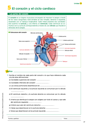 05-El-corazon-y-el-ciclo-cardiaco.pdf