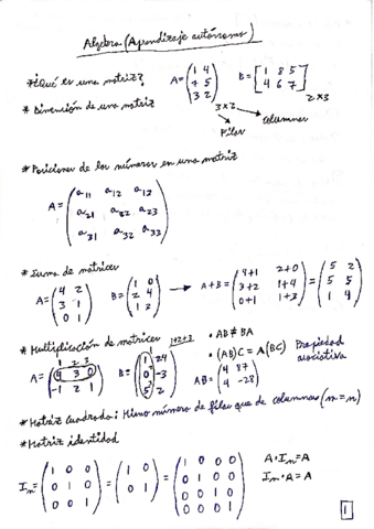 Resumen-Tema-1-Algebra.pdf