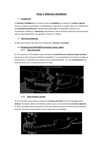 Apuntes-Protesis-I.pdf