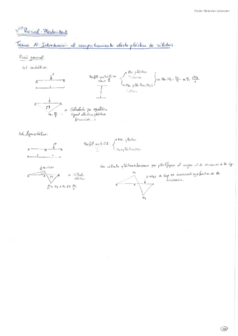 2P-Elasticidad-Aplicada-PRL.pdf