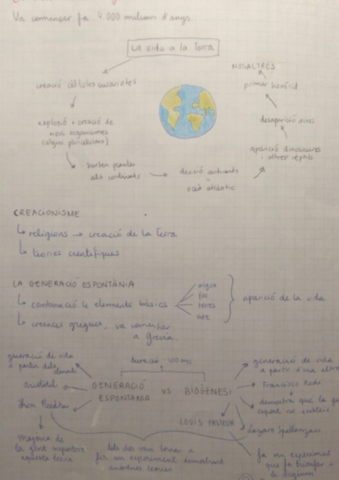 Lorigen-de-la-vida.pdf