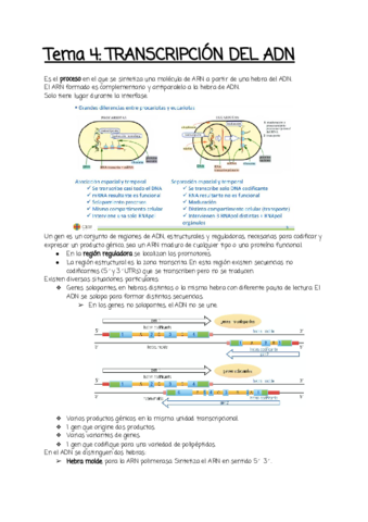 Tema-4.pdf