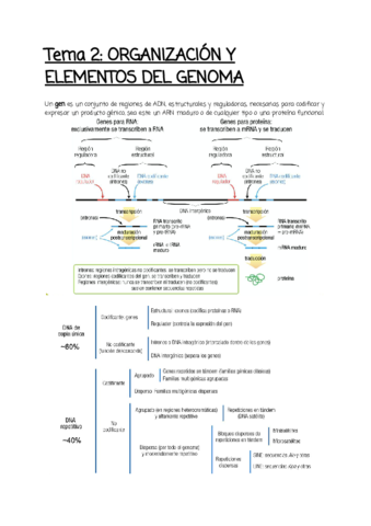 Tema-2.pdf