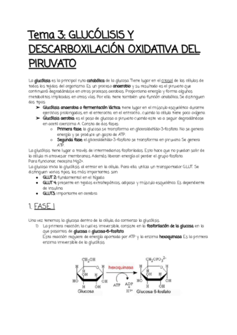 Tema-3.pdf