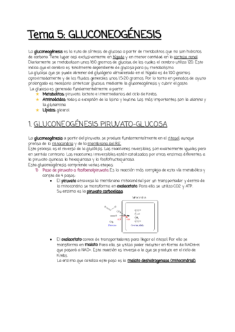 Tema-5.pdf