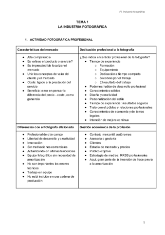 PI-INDUSTRIA-FOTOGRAFICA.pdf