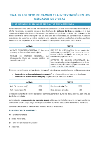 tema-13-PDF.pdf
