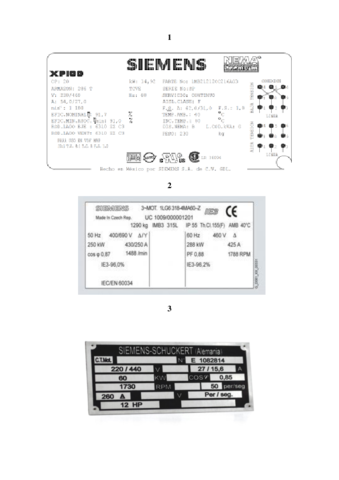 TRABAJO-SIRL.pdf