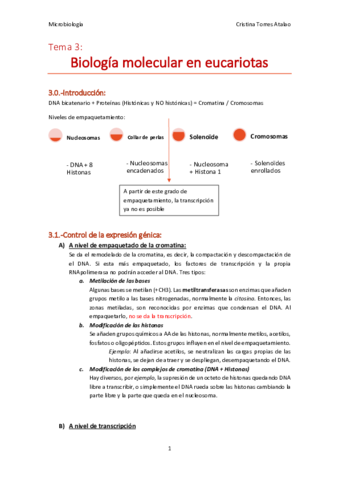 Tema-3-Microbiologia.pdf