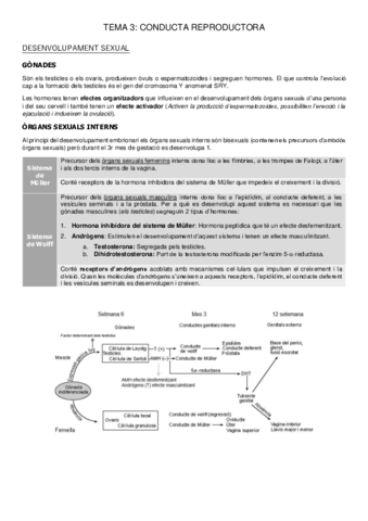 tema-3-conducta-sexual.pdf