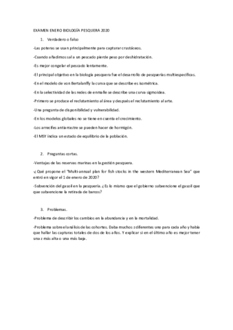 Examen-enero-2020.pdf