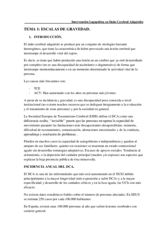 DANO-CEREBRAL-COMPLETO.pdf
