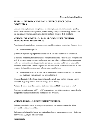 NEUROPSICOLOGIA-COMPLETO.pdf