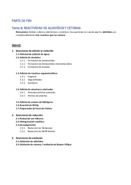 Resumen Parte de Fini.pdf