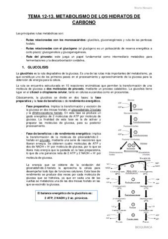 TEMA-12-13.pdf