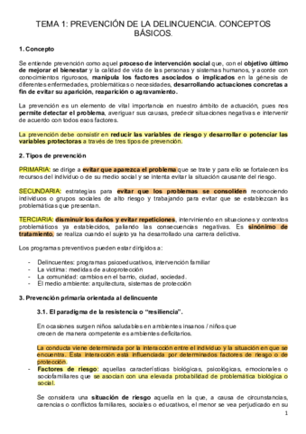 RESUMEN-TEMA-1.pdf