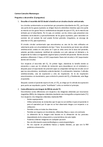 examen-PQ-desarrollo.pdf