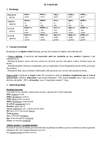 morfosintaxi-del-participi-llati.pdf