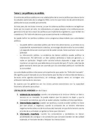 Politicas Publicas.pdf