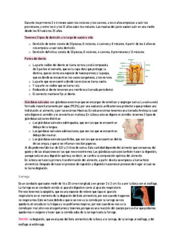 ANATOMIA2-9.pdf