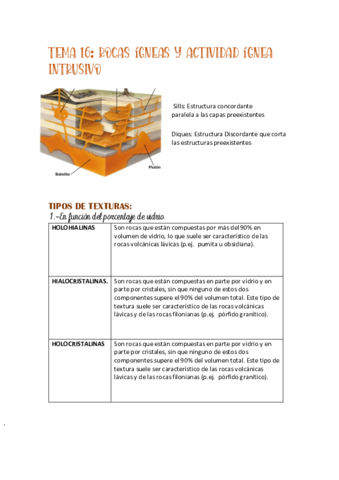 Tema-16-.pdf