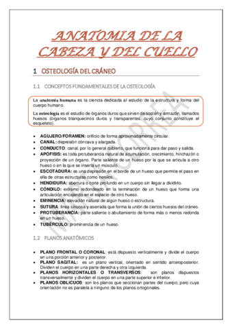 CRANEO-OSEO.pdf