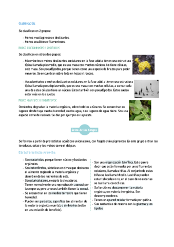 BIOLOGIA2-15.pdf