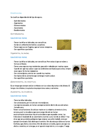 BIOLOGIA2-16.pdf