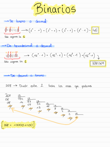 Tema2BINARIOS201205104309.pdf