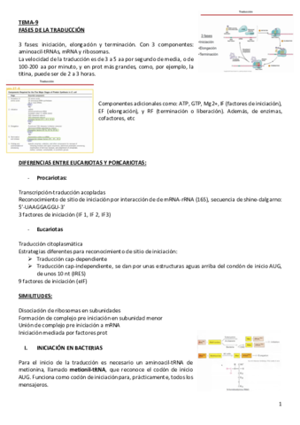 TEORIA-2o-PARCIAL.pdf