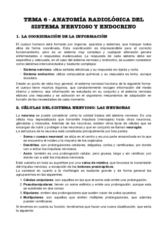Tema-6-Anatomia-Radiologica-del-Sistema-Nervioso-y-Endocrino.pdf