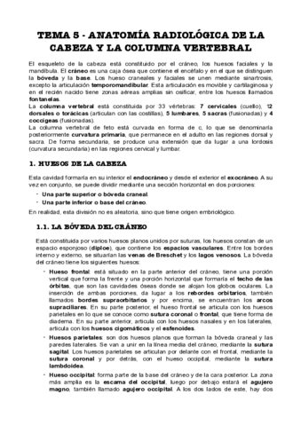 Tema-5-Anatomia-radiologica-de-la-cabeza-y-la-columna-vertebral.pdf