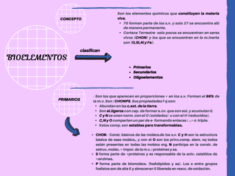 BIOELEMENTOS-Y-BIOMOLECULAS.pdf