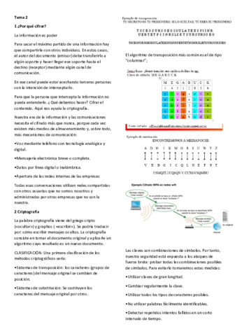 Resumentema2seguridad.pdf