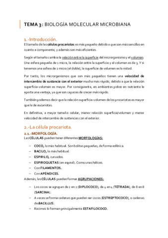 TEMA-3-MICROBIOLOGIA.pdf