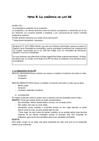TEMA-3-La-dinamica-de-los-DR.pdf