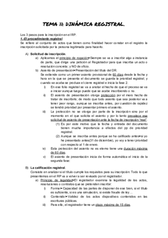 TEMA-11-DINAMICA-REGISTRAL.pdf