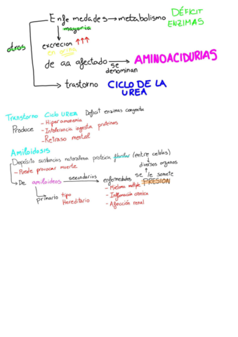 PROTEINAS-RESUMEN.pdf