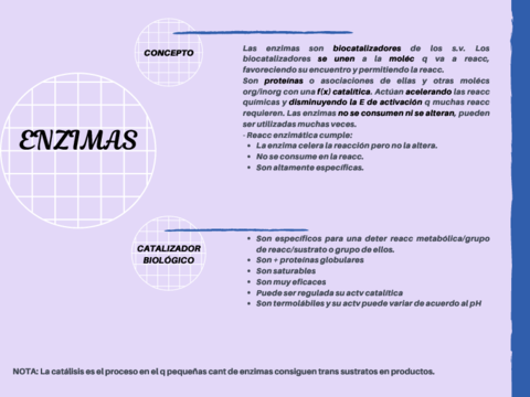 ENZIMAS.pdf