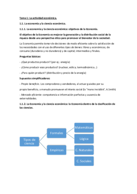 Tema 1- Economía final..pdf