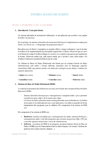 BDRApuntsTEORIA.pdf