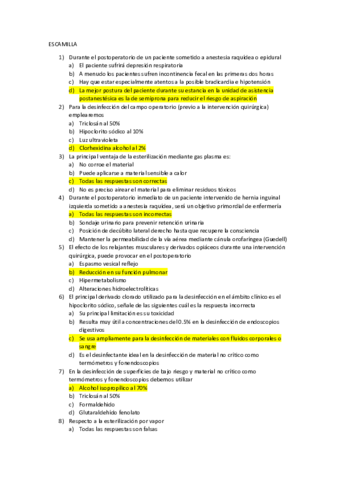 ESCAMILLA-corregido-.pdf