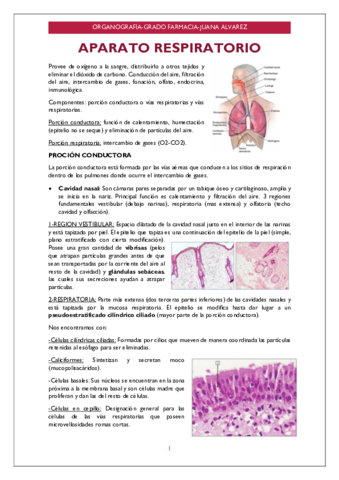Organografia-algunos-De-Los-Apuntes.pdf