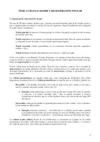 TEMA-2-6.pdf