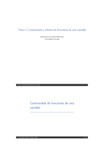 TEMA-2-AM.pdf