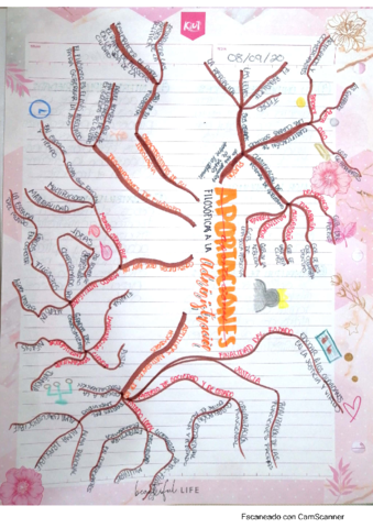 MAPA-MENTAL-PLATON.pdf
