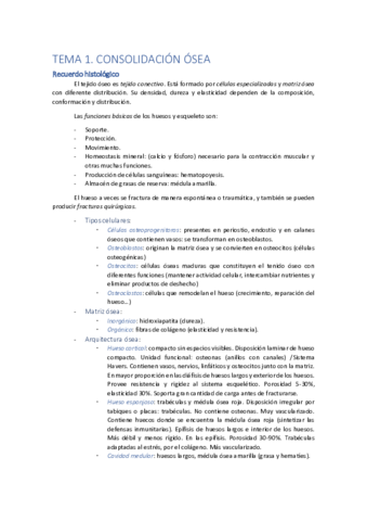 TEMA1.pdf