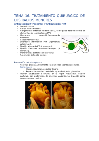 TEMA16.pdf