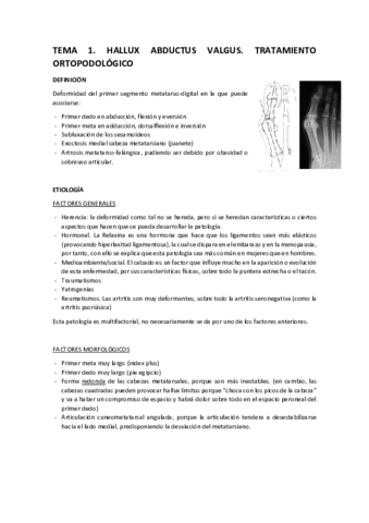 UNIFICADO-TEMARIO-RAMOS.pdf