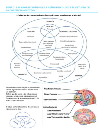 T2-APORTACIONES-NEUROPSICOLOGIA-A-LAS-ADICCIONES.pdf